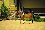 USHJA-Derby-8-21-10-CrseWk-Parade-DER_9425-DDeRosaPhoto.jpg