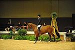 USHJA-Derby-8-21-10-CrseWk-Parade-DER_9434-DDeRosaPhoto.jpg