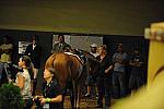 USHJA-Derby-8-21-10-Rnd2-DER1_9621-DDeRosaPhoto.JPG