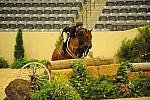 USHJA-Derby-8-21-10-Rnd2-DER1_9663-Peridot-TammyProvost-DDeRosaPhoto.JPG