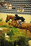 USHJA-Derby-8-21-10-Rnd2-DER1_9739-Brunello-ElizabethBoyd-DDeRosaPhoto.JPG