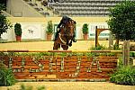USHJA-Derby-8-21-10-Rnd2-DER1_9754-EarlyApplause-MaggieJayne-DDeRosaPhoto.JPG