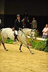 USHJA-Derby-8-21-10-Rnd2-DER1_9806-SummerPlace-ScottStewart-DDeRosaPhoto.JPG