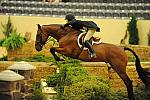 USHJA-Derby-8-21-10-Rnd2-DER1_9891-Castello-ElizabethBoyd-DDeRosaPhoto.JPG
