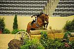 USHJA-Derby-8-21-10-Rnd2-DER1_9972-WorldTime-VictoriaColvin-DDeRosaPhoto.JPG