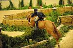 USHJA-Derby-Rnd2-DER2_0089-Sander-MaggieJayne-DDeRosaPhoto.JPG