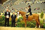 USHJA-Derby-Rnd2-Awards-DER_0043-JerseyBoy-JenniferAlfano-DDeRosaPhoto.jpg