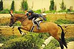 USHJA-Derby-Rnd3-DER2_0142-WorldTime-VictoriaColvin-DDeRosaPhoto.jpg