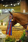 USHJA-Derby-8-21-10-Rnd3-DER2_0405-DDeRosaPhoto.jpg