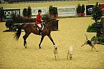 USHJA-Derby-8-20-10-CrseWk-DER_7382-DDeRosaPhoto.jpg