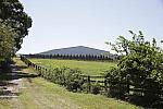 Jamesport Wineton 110812-0245.jpg