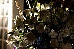 Vivuchi Wedding-11-22-23-2016-9403-DDeRosaPhoto