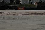 23-WEF-1-6-08-DeRosaPhoto.jpg