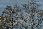 41-WEF-1-6-08-DeRosaPhoto.jpg