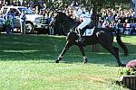 WEG1-10-2-10-EV-XX-DSC_6009-OppositionBuzz-NicolaWilson-DDeRosaPhoto.JPG