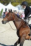 WEG3-10-6-10-Hunters-3510-DDeRosaPhoto.jpg