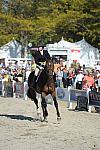 WEG3-10-6-10-Hunters-3522-DDeRosaPhoto.jpg