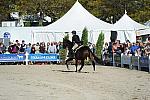 WEG3-10-6-10-Hunters-3536-DDeRosaPhoto.jpg