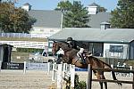 WEG3-10-6-10-Hunters-3539-DDeRosaPhoto.jpg