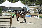 WEG3-10-6-10-Hunters-3541-DDeRosaPhoto.jpg
