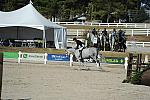 WEG3-10-6-10-Hunters-3583-DDeRosaPhoto.jpg