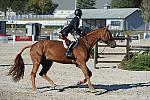 WEG3-10-6-10-Hunters-3597-DDeRosaPhoto.jpg