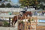 WEG3-10-6-10-Hunters-3601-DDeRosaPhoto.jpg