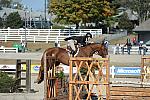 WEG3-10-6-10-Hunters-3602-DDeRosaPhoto.jpg