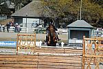 WEG3-10-6-10-Hunters-3603-DDeRosaPhoto.jpg