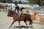 WEG3-10-6-10-Hunters-3605-DDeRosaPhoto.jpg