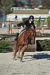 WEG3-10-6-10-Hunters-3609-DDeRosaPhoto.jpg