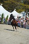 WEG3-10-6-10-Hunters-3612-DDeRosaPhoto.jpg
