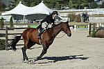 WEG3-10-6-10-Hunters-3635-DDeRosaPhoto.jpg