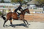 WEG3-10-6-10-Hunters-3636-DDeRosaPhoto.jpg