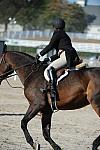 WEG3-10-6-10-Hunters-3655-DDeRosaPhoto.jpg