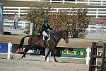 WEG3-10-6-10-Hunters-3671-DDeRosaPhoto.jpg