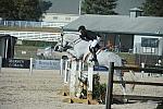 WEG3-10-6-10-Hunters-3702-DDeRosaPhoto.jpg