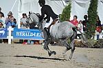 WEG3-10-6-10-Hunters-3728-DDeRosaPhoto.jpg