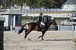 WEG3-10-6-10-Hunters-3746-DDeRosaPhoto.jpg