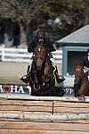 WEG3-10-6-10-Hunters-3750-DDeRosaPhoto.jpg