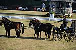 WEG3-10-7-10-DR-DRE-5513-LudwigWeinmayr-GER-DDeRosaPhoto.jpg