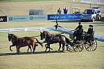 WEG3-10-7-10-DR-DRE-5539-IjsbrandChardon-NED-DDeRosaPhoto.jpg