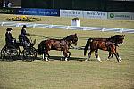 WEG3-10-7-10-DR-DRE-5564-JamesFairclough-USA-DDeRosaPhoto.jpg