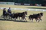 WEG3-10-7-10-DR-DRE-5566-JamesFairclough-USA-DDeRosaPhoto.jpg