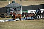 WEG3-10-7-10-DR-DRE-5575-JamesFairclough-USA-DDeRosaPhoto.jpg