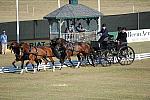 WEG3-10-7-10-DR-DRE-5576-JamesFairclough-USA-DDeRosaPhoto.jpg