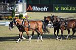WEG3-10-7-10-DR-DRE-5584-JamesFairclough-USA-DDeRosaPhoto.jpg