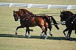 WEG3-10-7-10-DR-DRE-5591-JamesFairclough-USA-DDeRosaPhoto.jpg