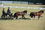 WEG3-10-7-10-DR-DRE-5592-JamesFairclough-USA-DDeRosaPhoto.jpg