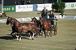WEG3-10-7-10-DR-DRE-5631-GavinRobson-AUS-DDeRosaPhoto.jpg